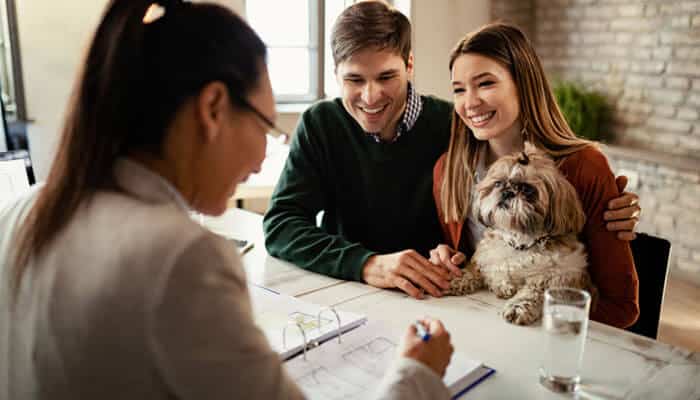 How to Deal with the Insurance Company - My Legal Opinion - My Legal Opinion Dog Bite Lawyer consultation with dog owners discussing liability and compensation after a bite claim