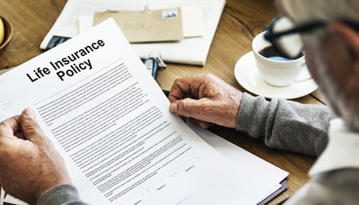 How Life Insurance Companies Investigate Claims - My Legal opinion - My Legal Opinion An individual reviewing a life insurance policy document, carefully examining the terms. Important steps in understanding and managing life insurance coverage.