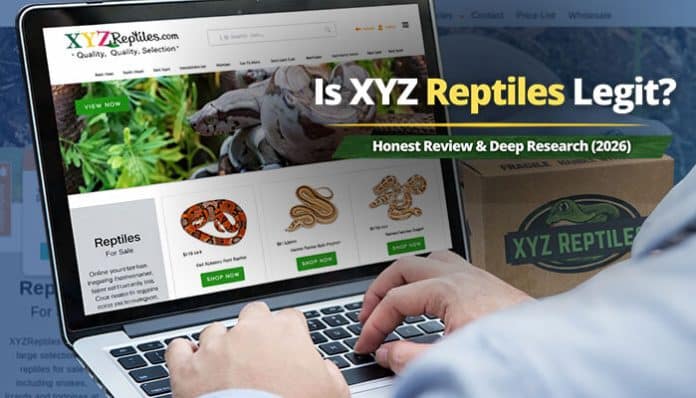 Is XYZ Reptiles Legit – laptop displaying xyzreptiles.com reptile store with snakes for sale, highlighting mixed reviews, safety analysis, trust scores, and concerns about customer service, animal quality, and online reptile buying risks